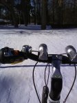 DSC00242.jpg
