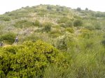 DSC02139b.JPG