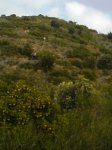 DSC02140b.JPG