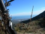 DSCN5518.jpg