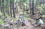 100_6177.jpg