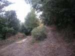 IMG_8474.JPG