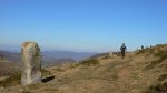 P1010018.jpg
