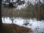 DSC06780.JPG