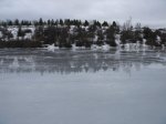 DSC06786.JPG