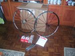 DSCN6717.jpg