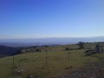 DSC00407.jpg