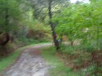 12042008601.jpg