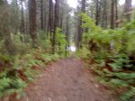12042008612.jpg