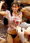 tomatina.jpg