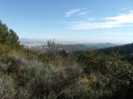 DSCF0070.jpg