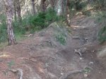 DSCF0513.jpg