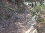 DSCF0514.jpg