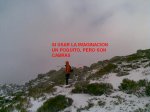 CABRAS.jpg