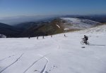 P1000448.jpg