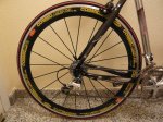 Cosmic Carbono tras.p.JPG