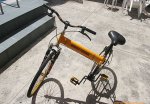 1biciIMG_9737.d.470.jpg