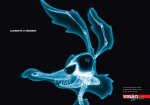 coyote_cerebro.jpg