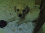 12102006.jpg