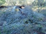 DSC00038.JPG