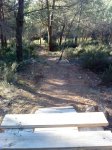 DSC00034.JPG