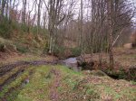 DSCF8387.jpg