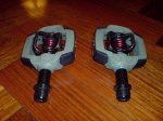DSC00173.jpg