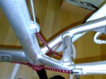 21012009240 (Medium).jpg