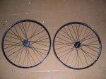 DSCN9695.jpg