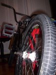 100_3096.JPG