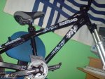 DSC00354.jpg