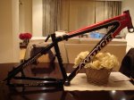 DSC06315.jpg