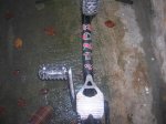 DSCN5530.jpg