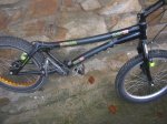 DSCN5524.jpg