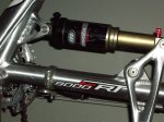 IMGP2902.jpg