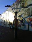 DSC01329.jpg