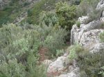 DSC04092.JPG