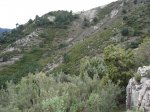 DSC04093.JPG