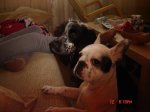 DSC03522.jpg