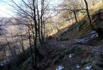 P1000458.jpg