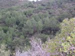 salida santo espiritu 021.jpg
