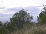 salida santo espiritu 035.jpg