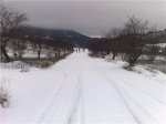 NIEVE BOGARRA 2-09.jpg