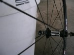 fotos DT 015.jpg