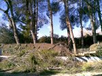 24012009(004).jpg