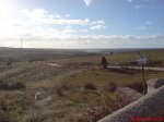 DSC00773.jpg