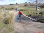 DSC00782.jpg