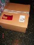 DSC06856.JPG