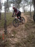 DSC06880.JPG