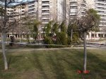 DSC06884.JPG